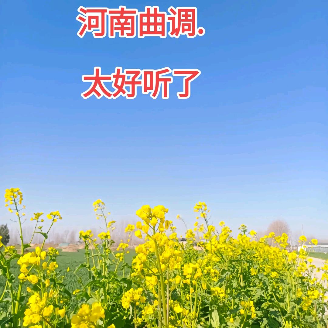 新蔡县