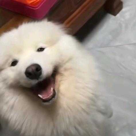 大学生重新之各种带货