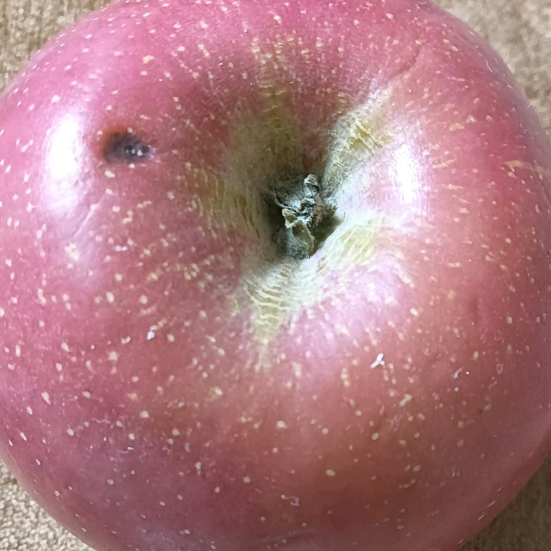 好梦内衣店个体店妹妹服饰