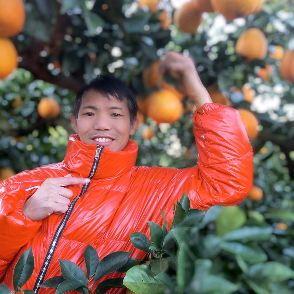 波波脐橙园