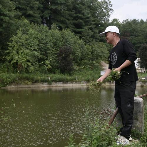 专心做农业的老任