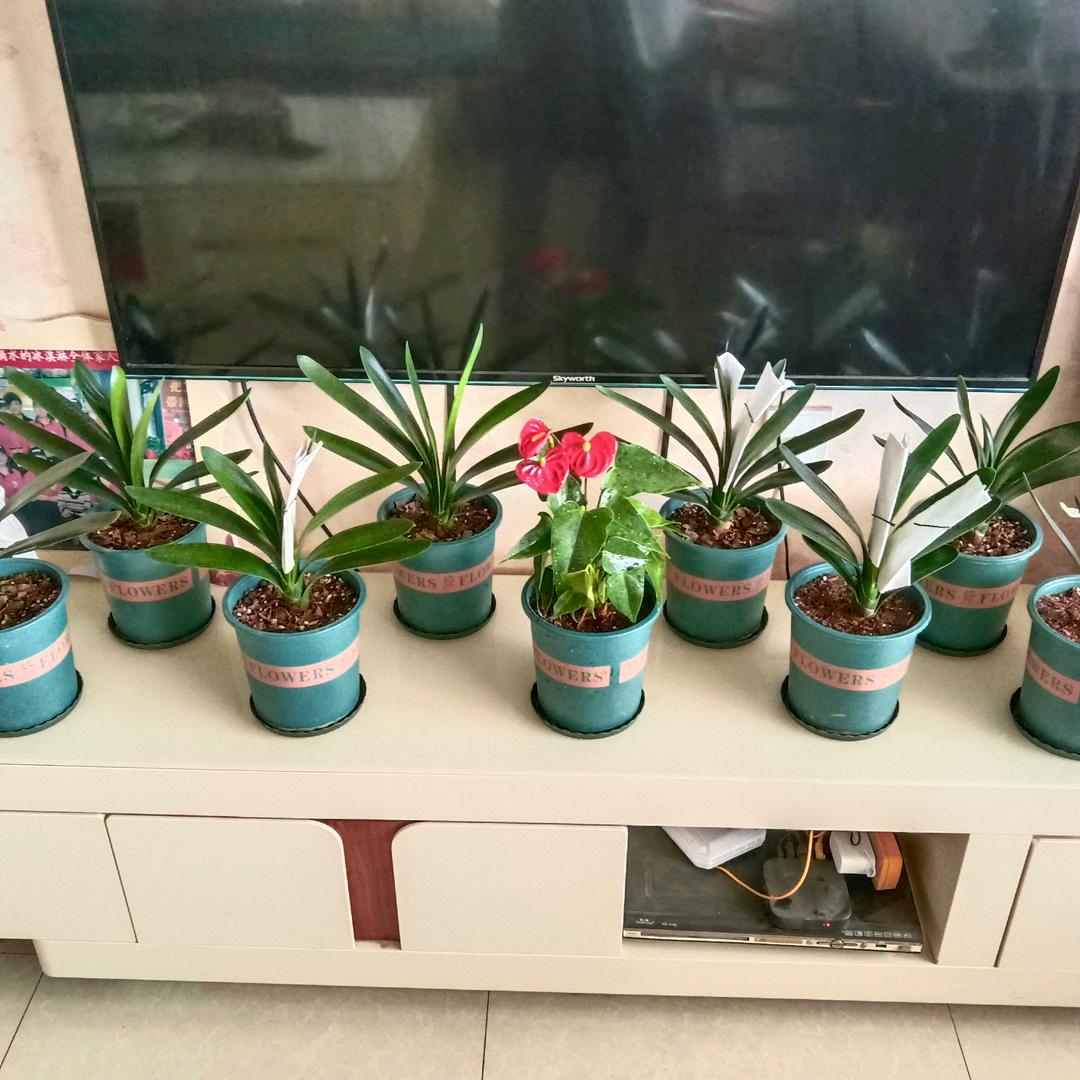 镇原县爱护便利店