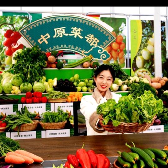 多肉