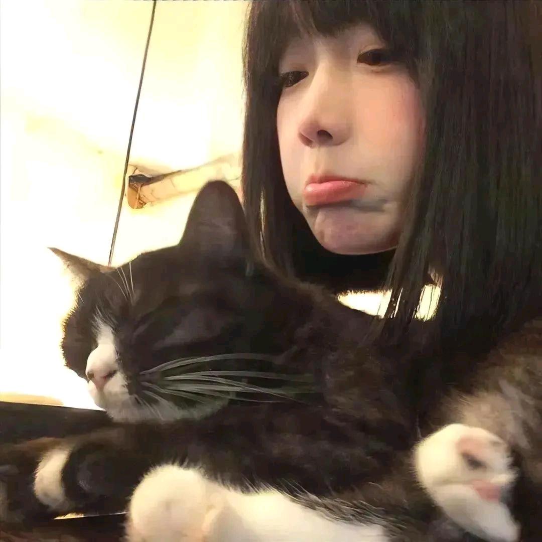 发呆呆呆鱼