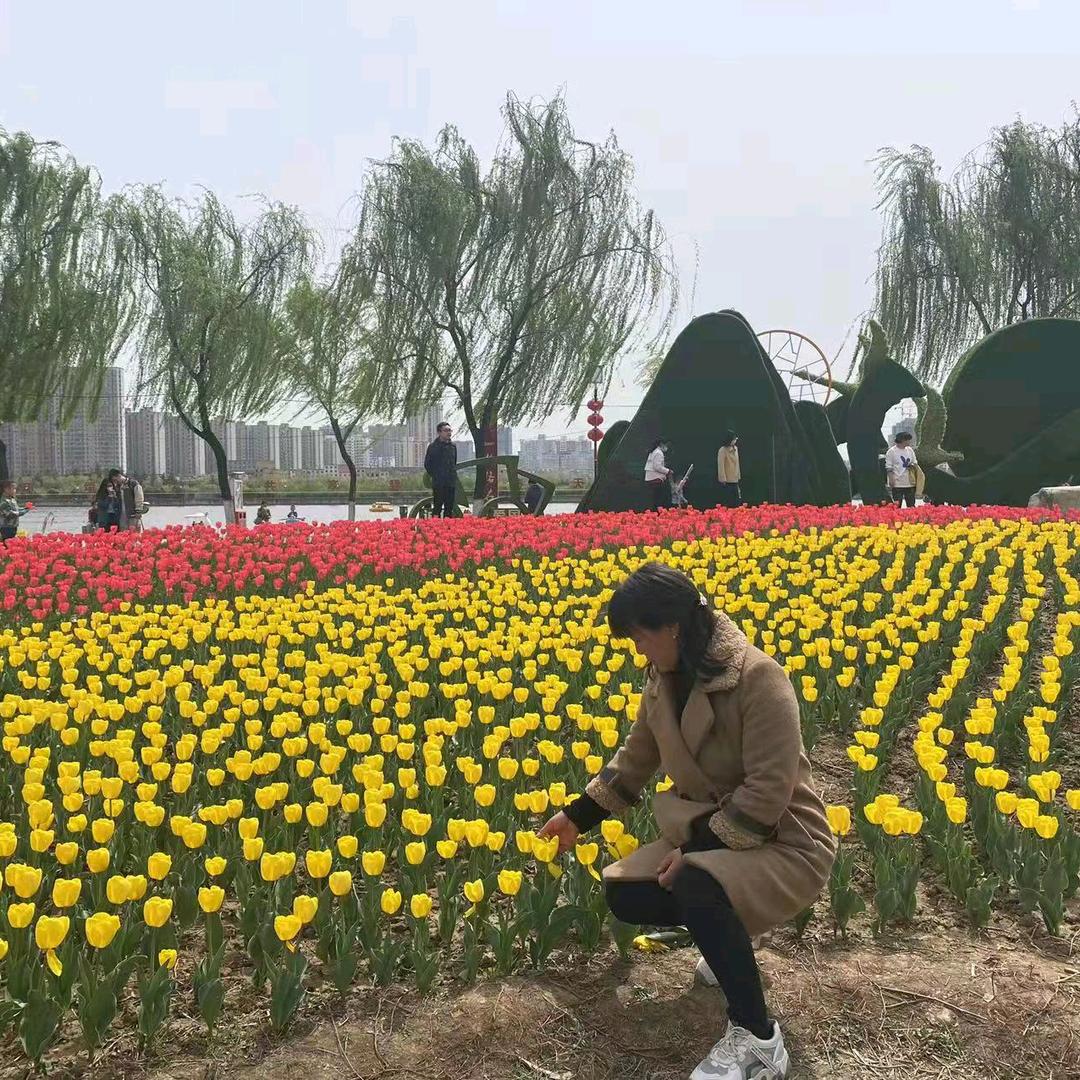 盛开彩虹般的梦