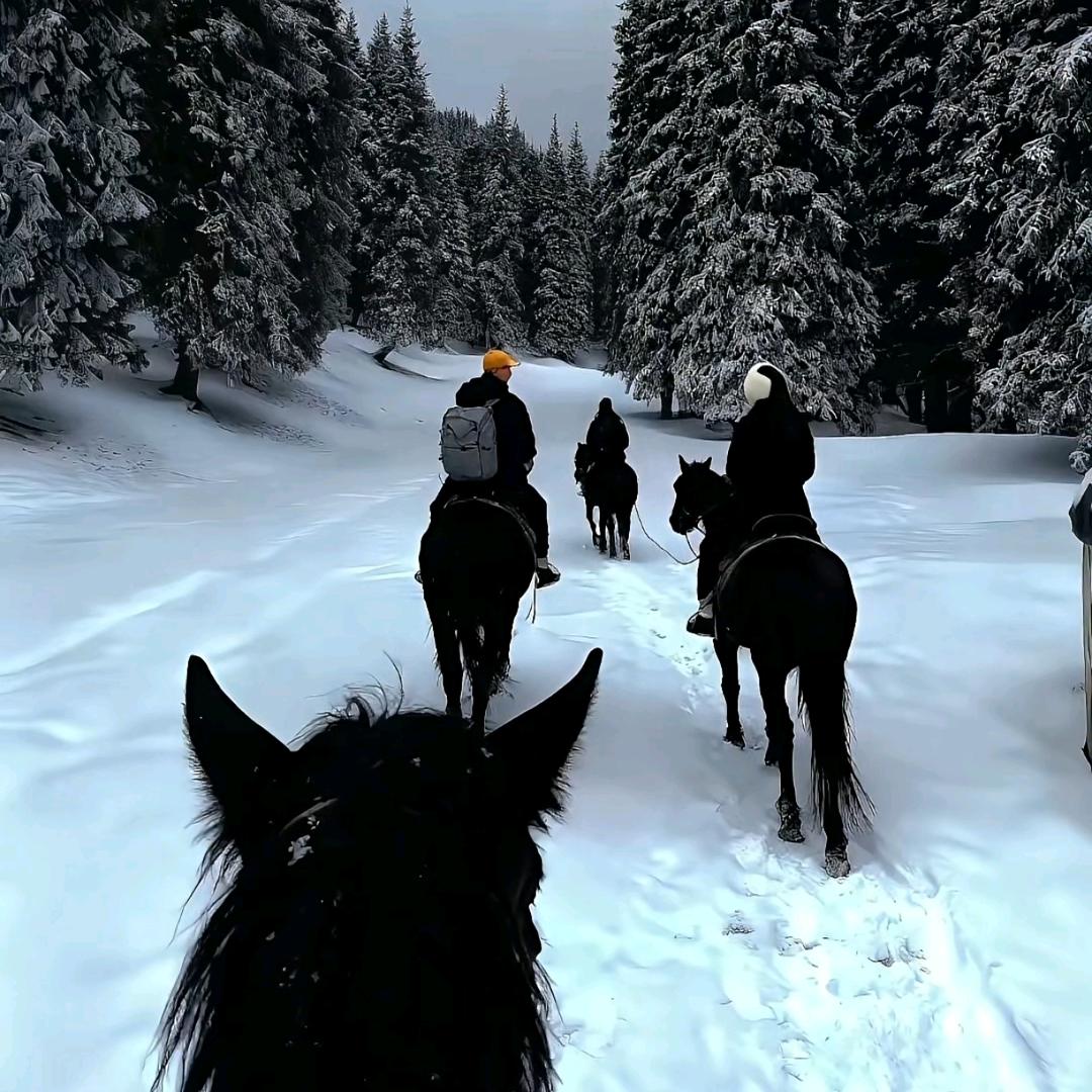 睡着的时候不困