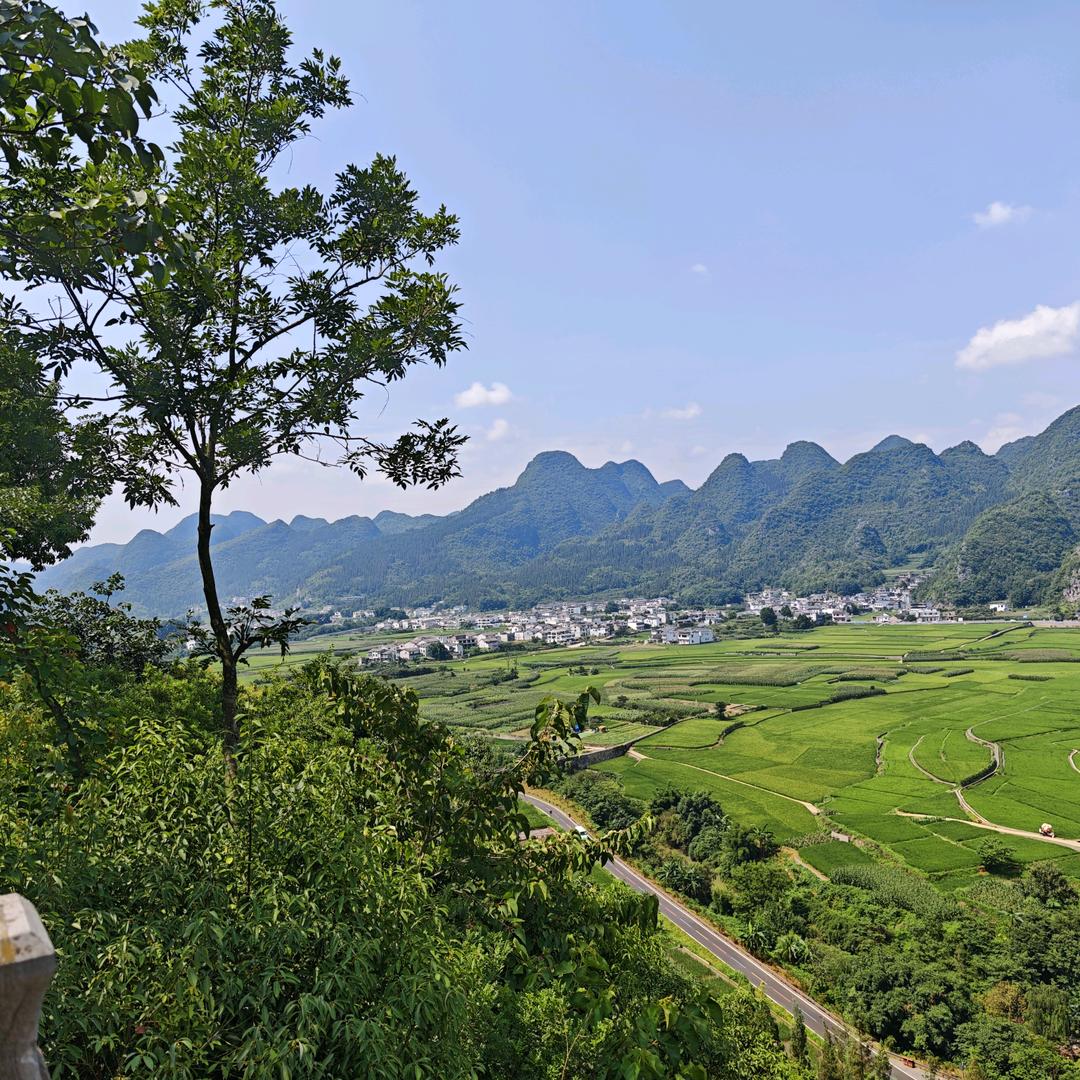 阿楠