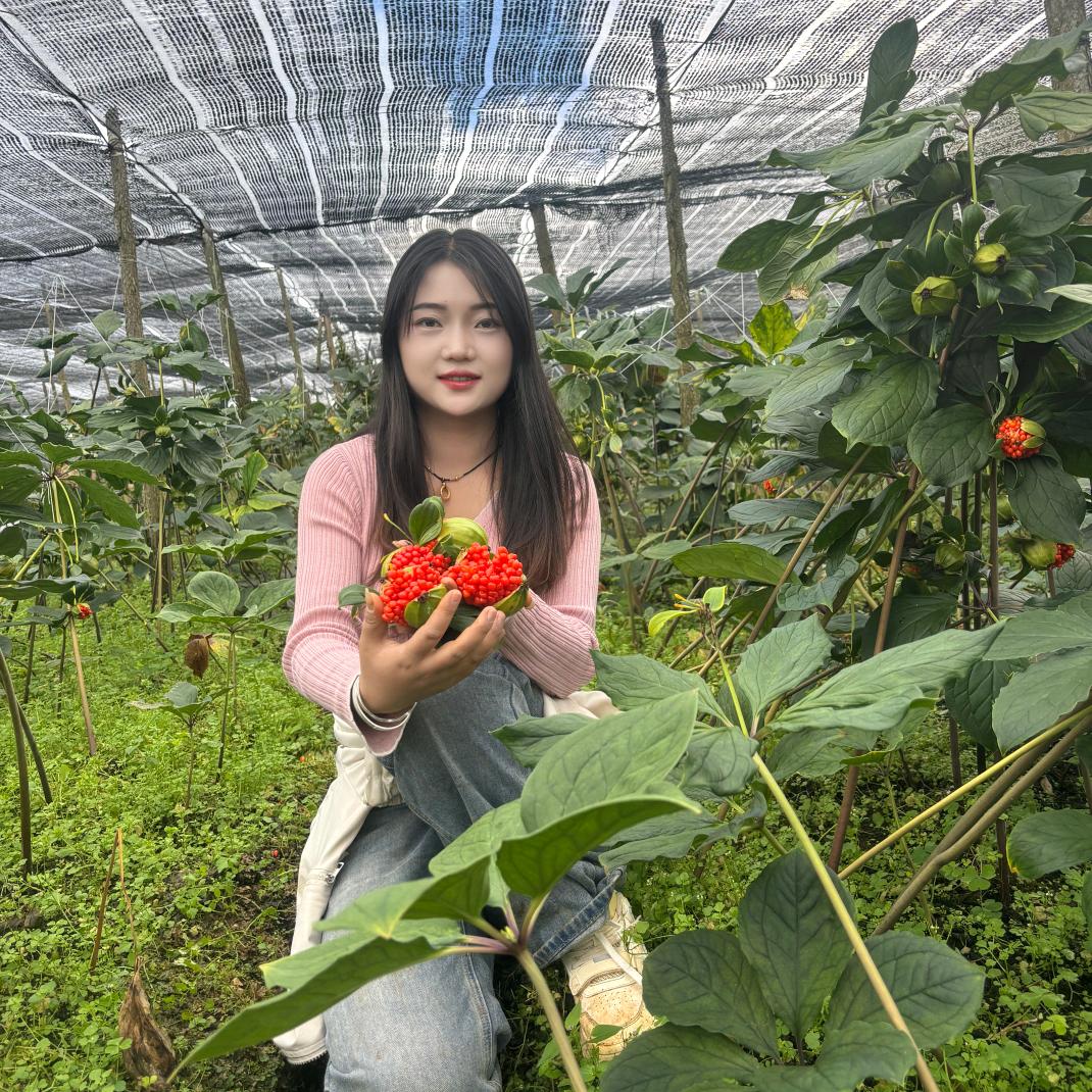 中药种植小能手-小会(种苗)