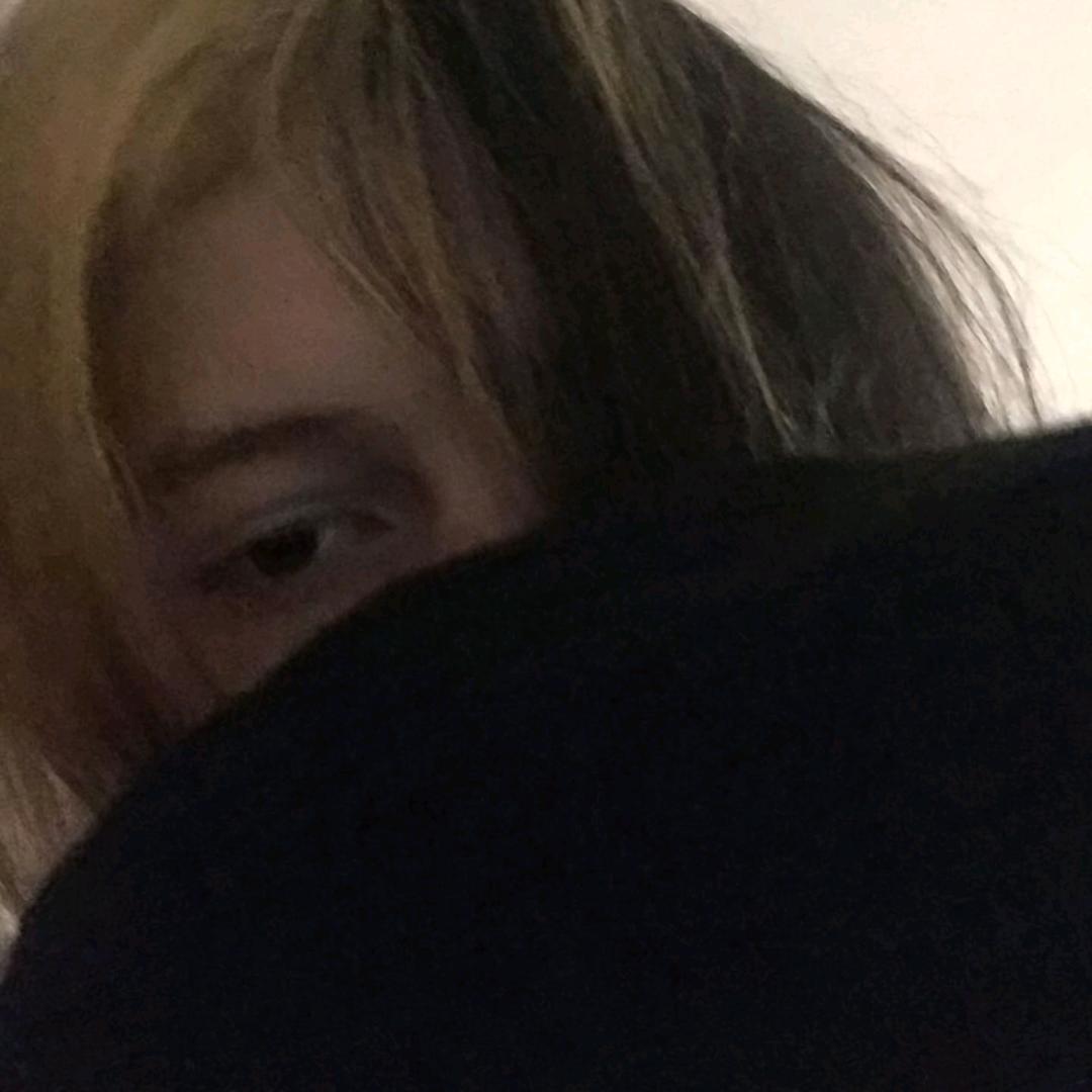 木鸟