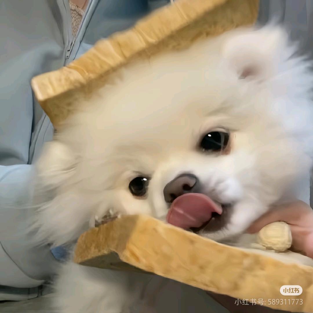 小Zhang又困ˡᵃ💤