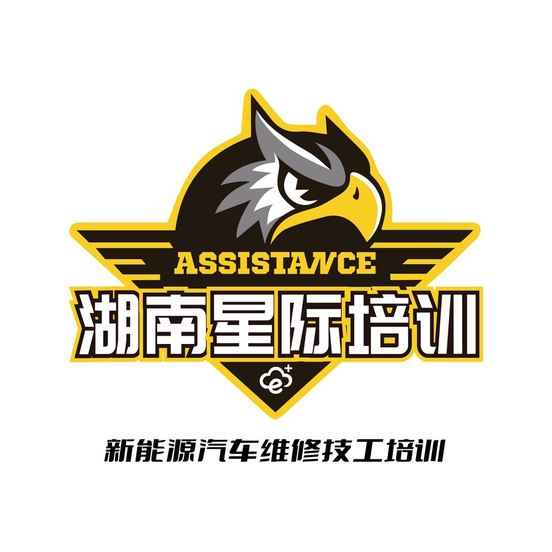 星际人才新能源