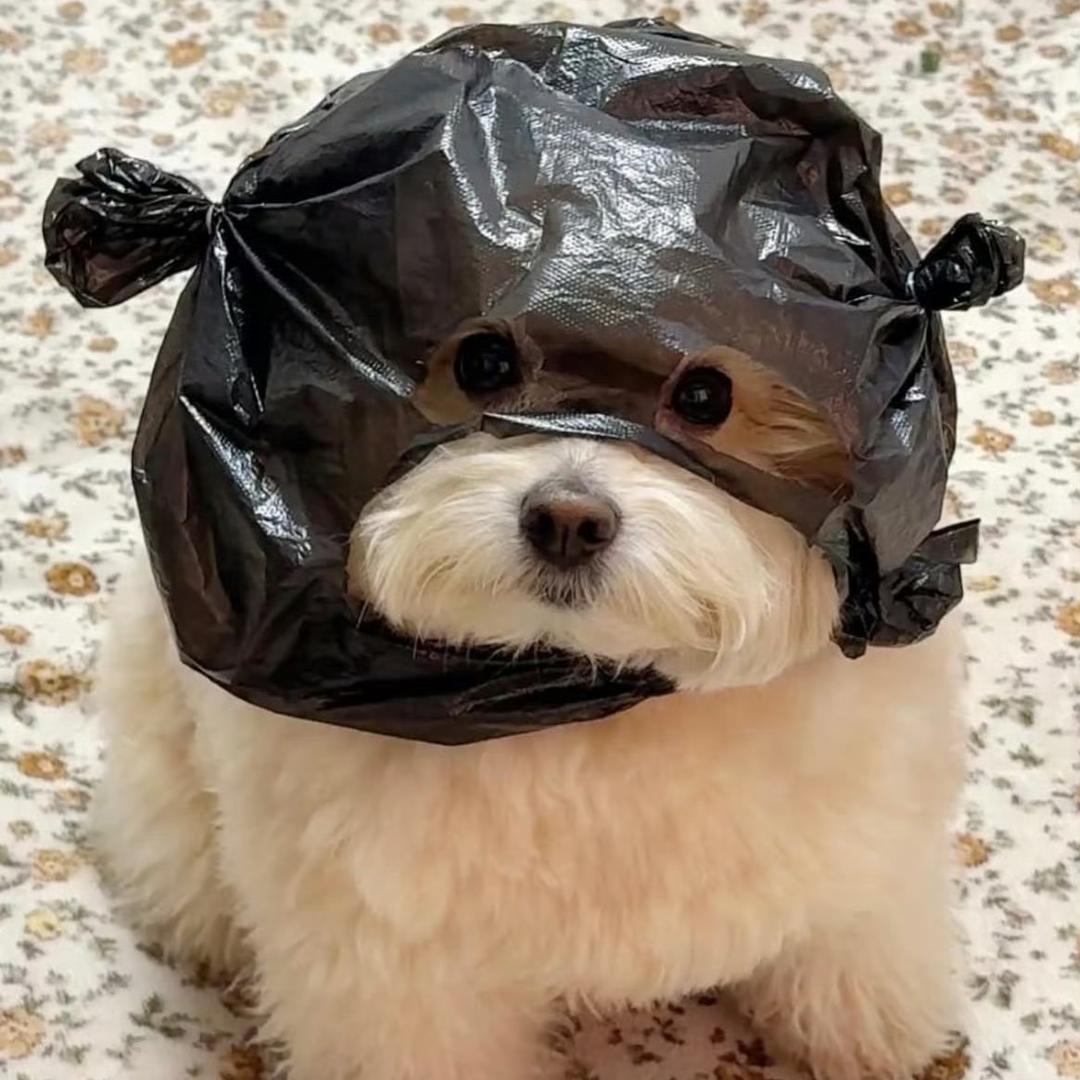 Yuna奈奈粉丝团长