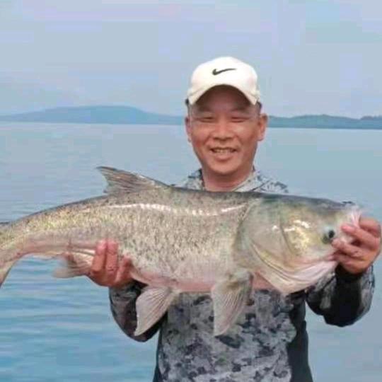 王智奇