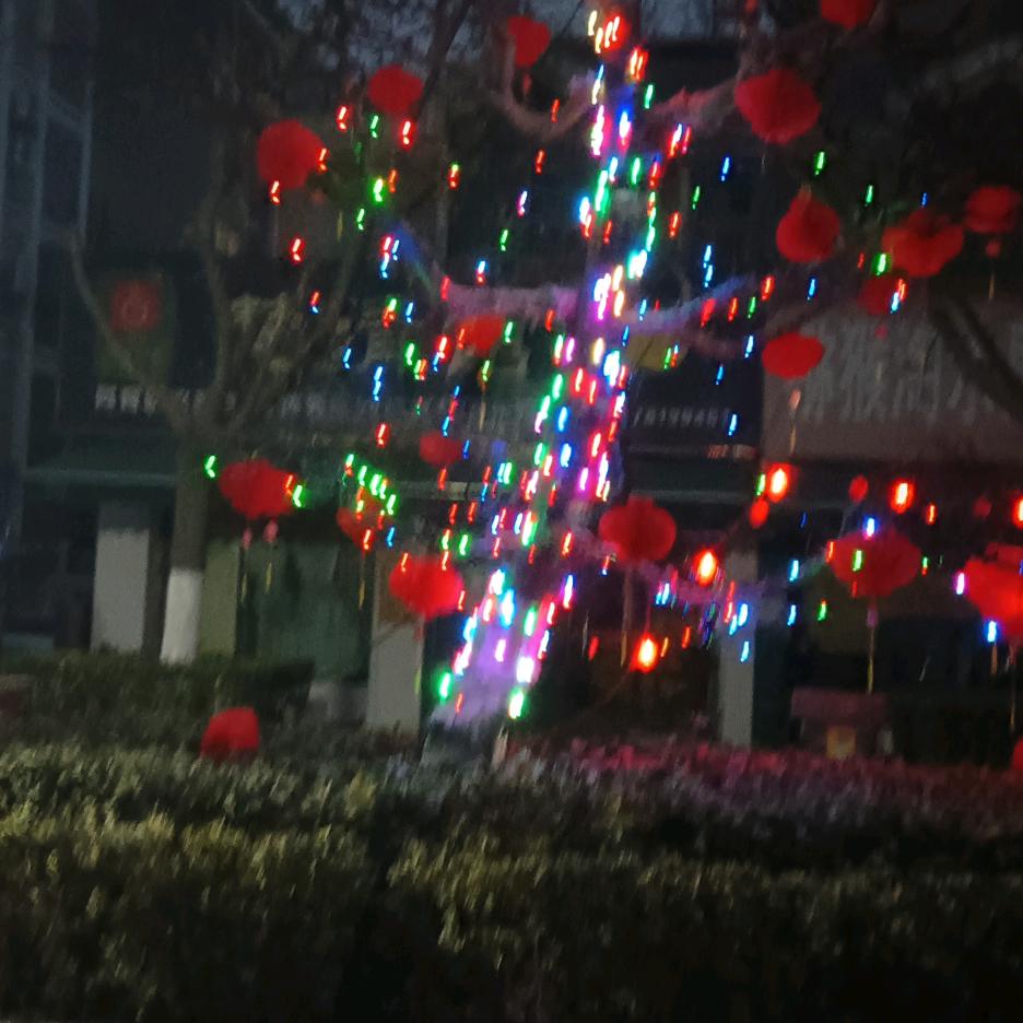 一帆风顺