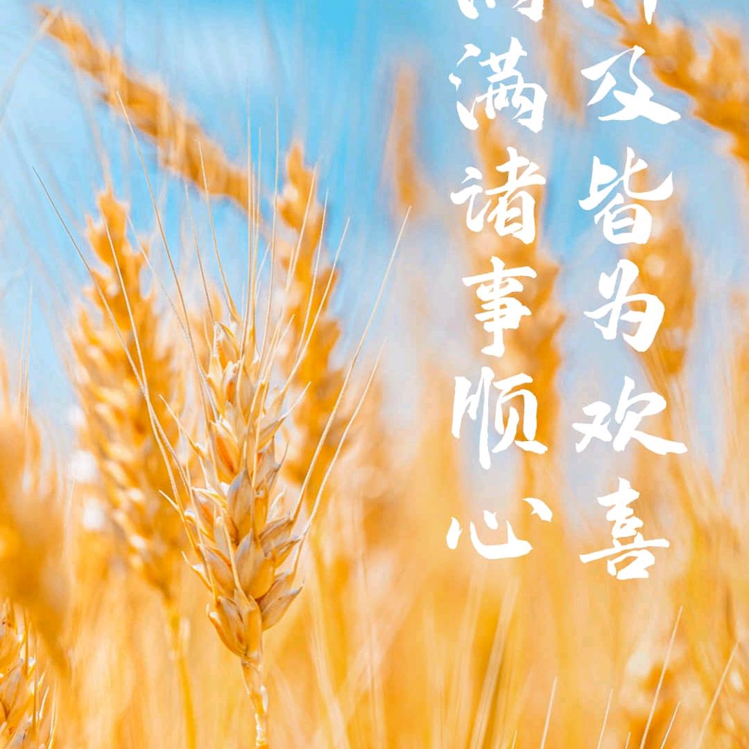 大鱼海棠