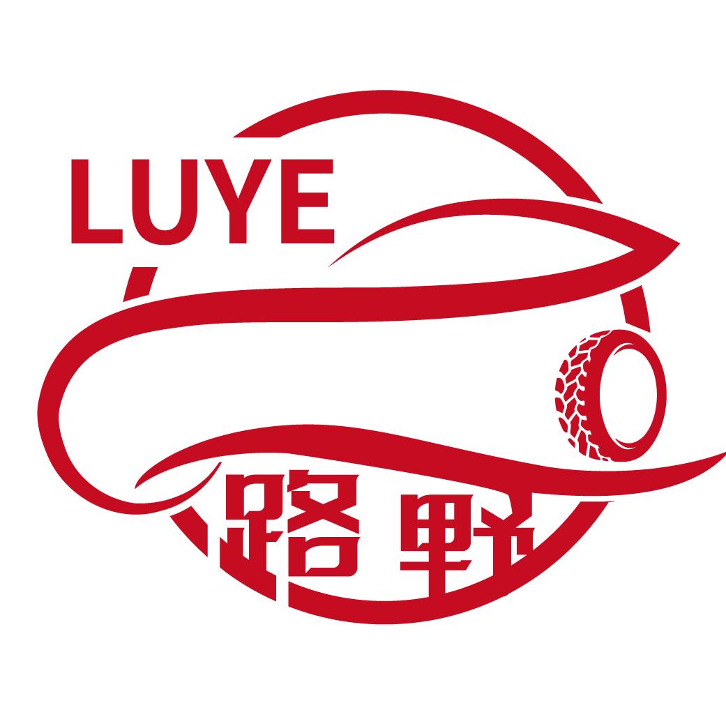 保定路野车改·定兴车灯