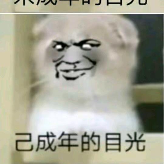 城
