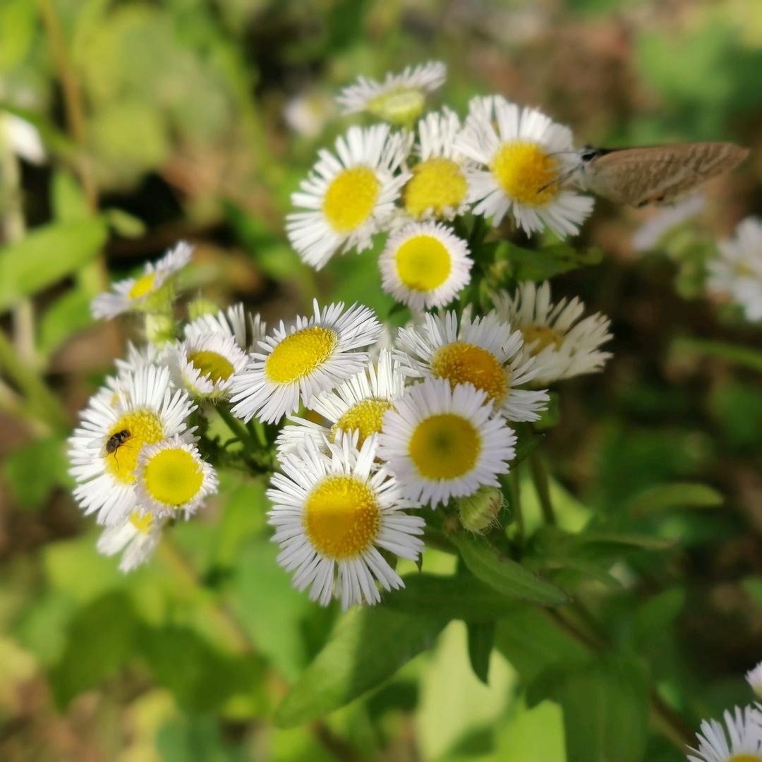 🥳🥳🥳的头像