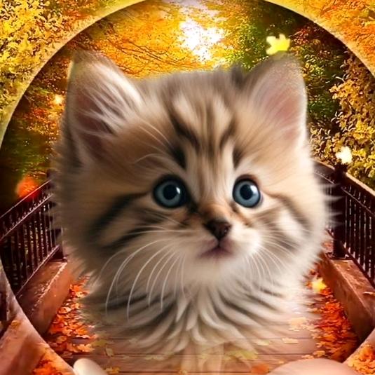 小兰姐好物分享w