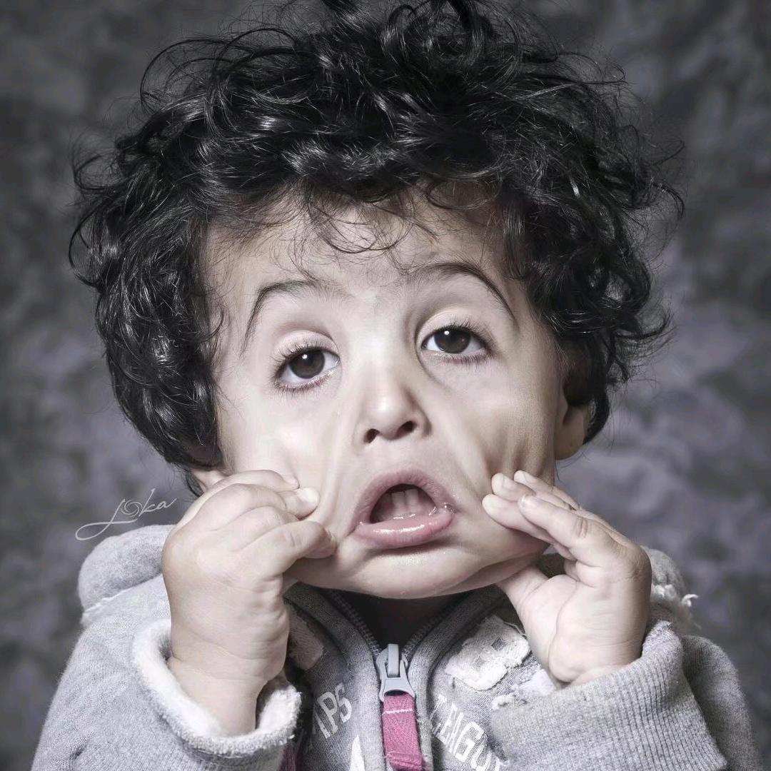 山茶花开在年糕里