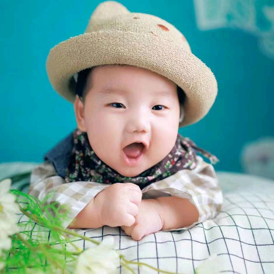 🌊孤雁怎飞🌊