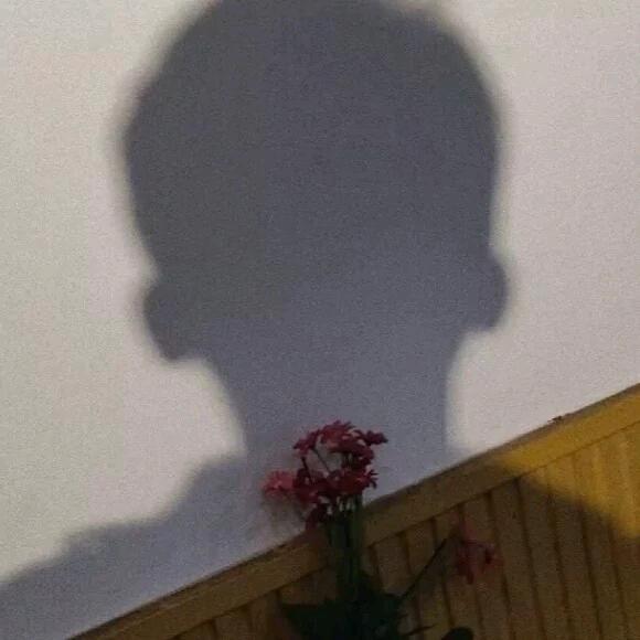 炮轰香菜