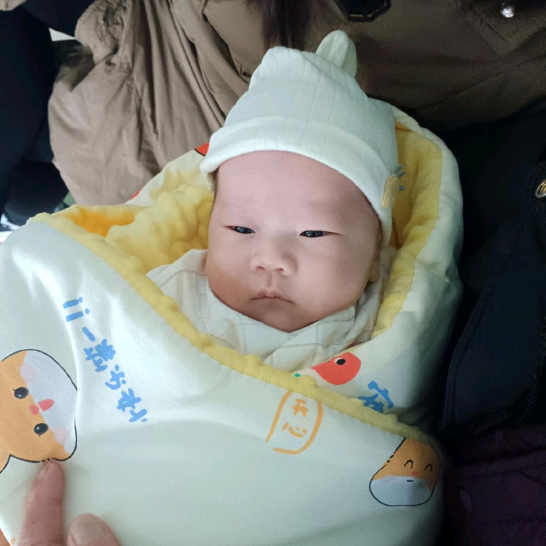 木工工程双包漂亮11888