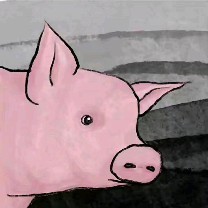 不吃肥肉