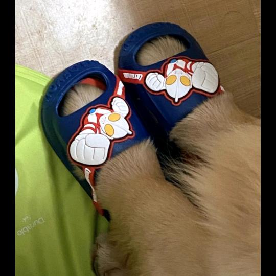 睡着就不饿了