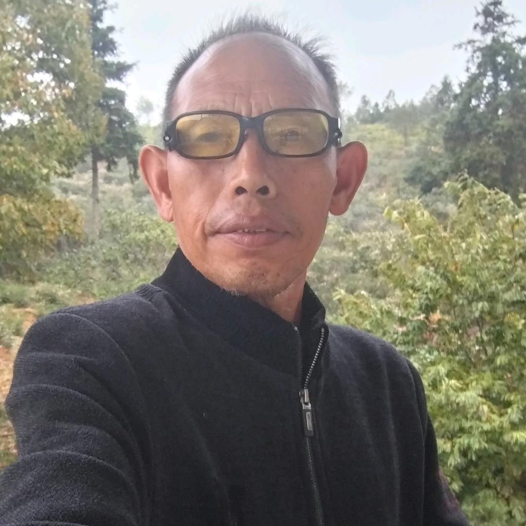 老张仙草