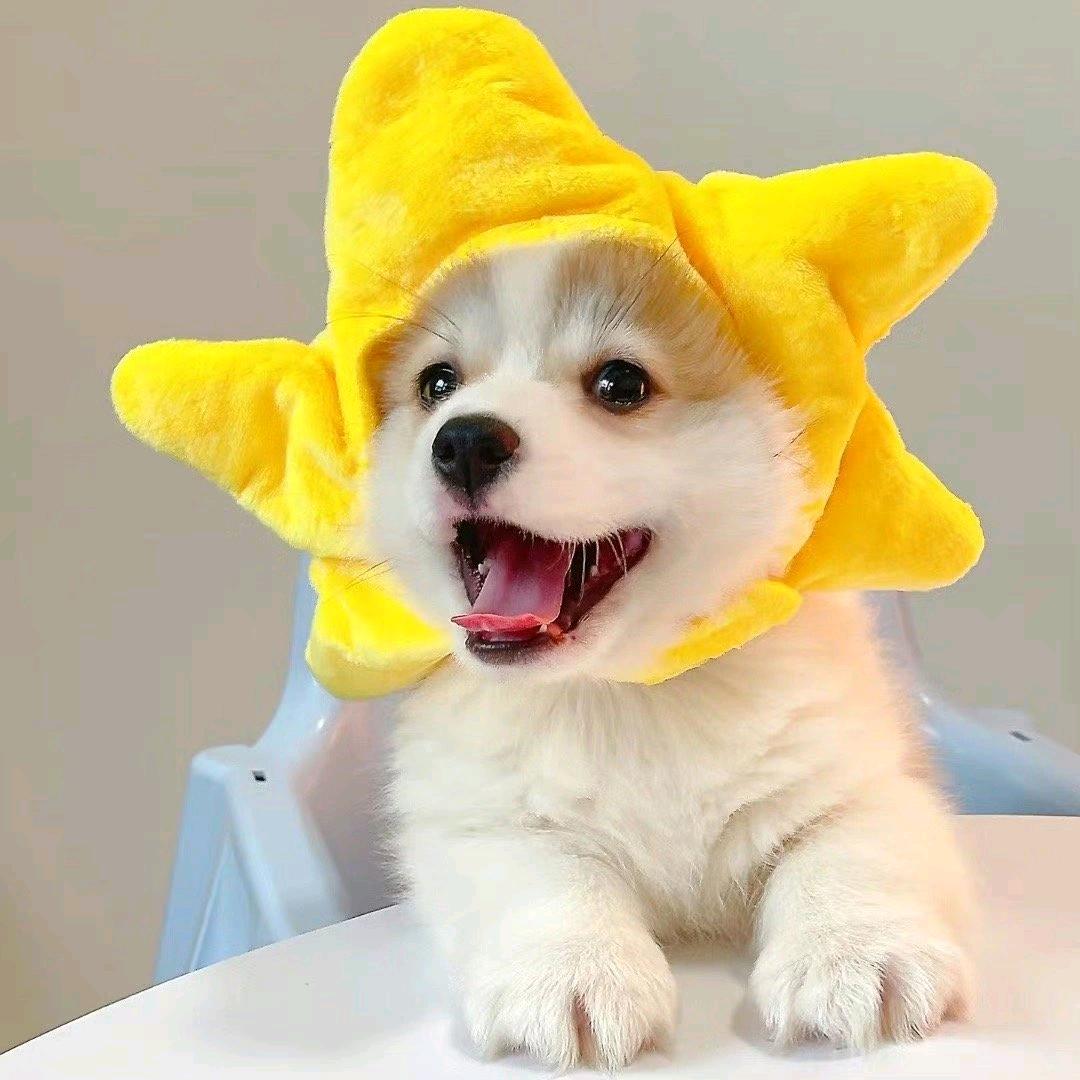 莫名其妙护肤好物