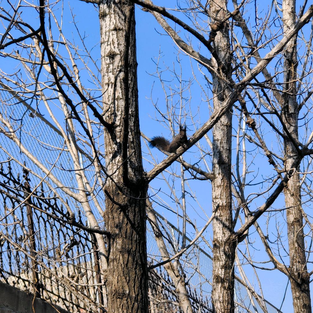 风勿