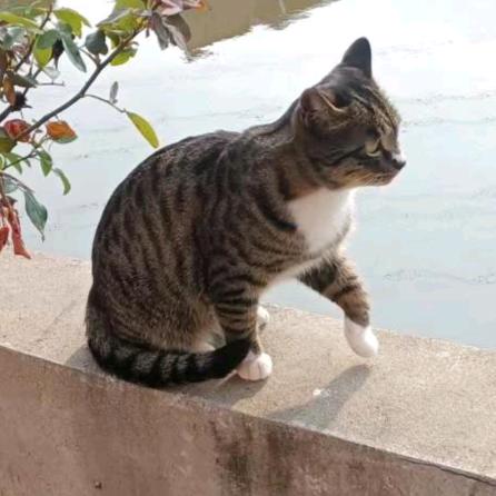 上善若水