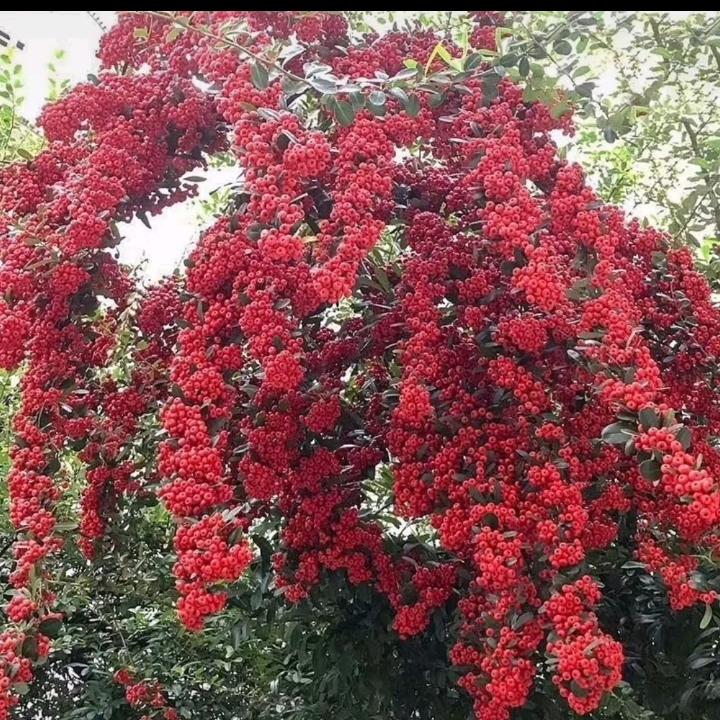 余高精品汇