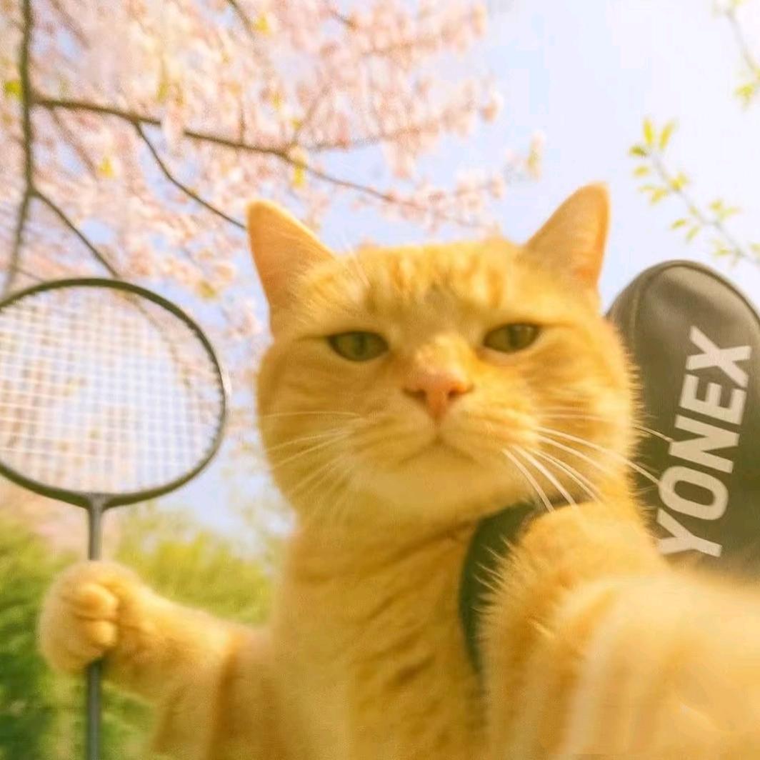 锦途体育朱教练