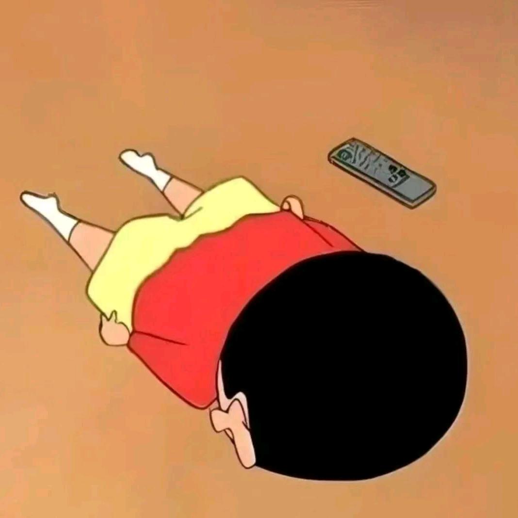 我不是蜡笔小新