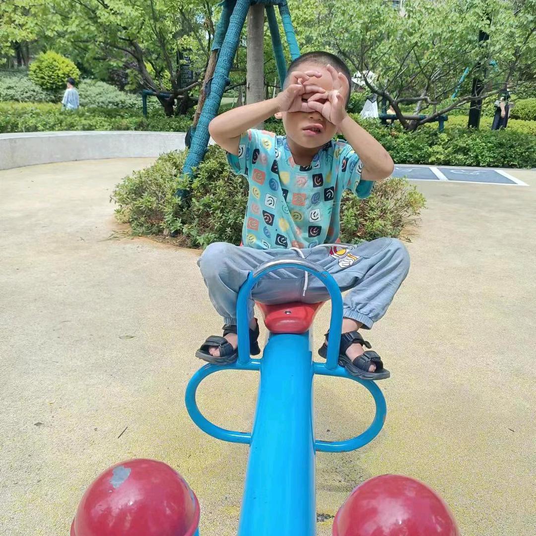 青春，献给了猪