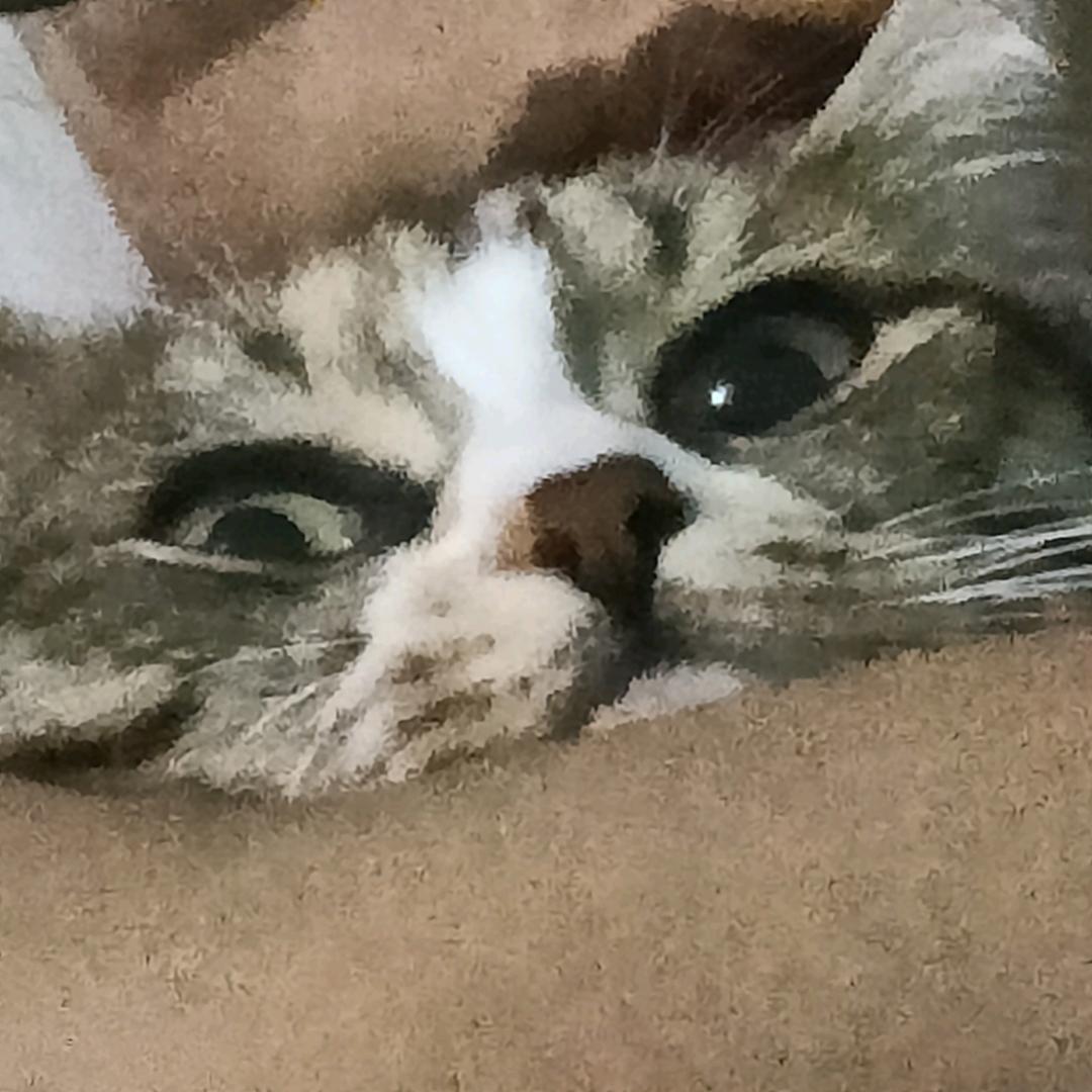仪云和