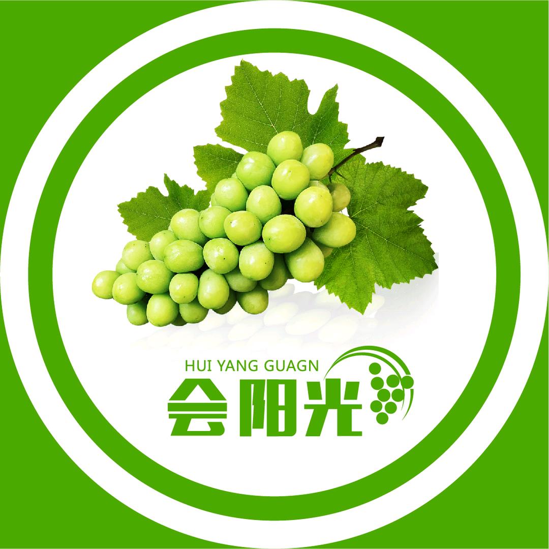 会阳光