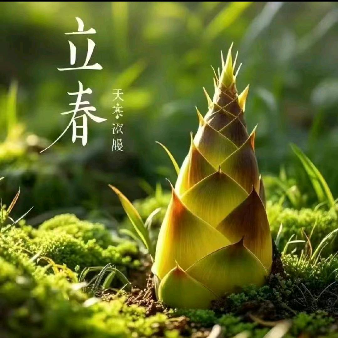 万事万物