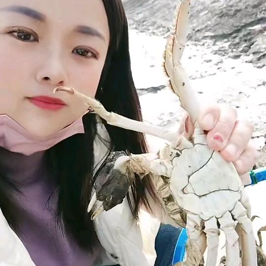 高淳固城湖大闸蟹，批发.零售，礼品盒