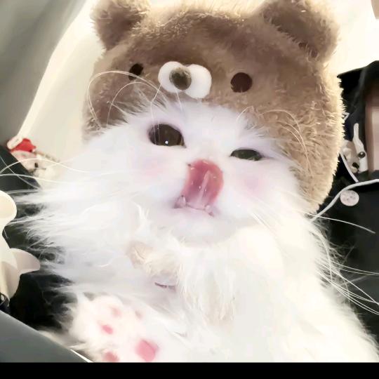 虾仁哟