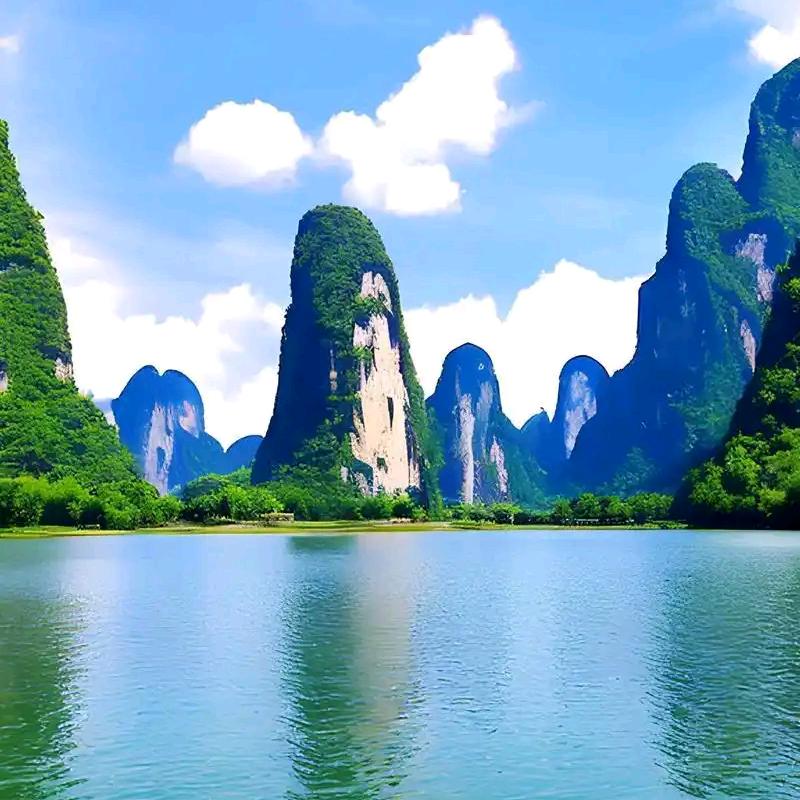 心向阳光