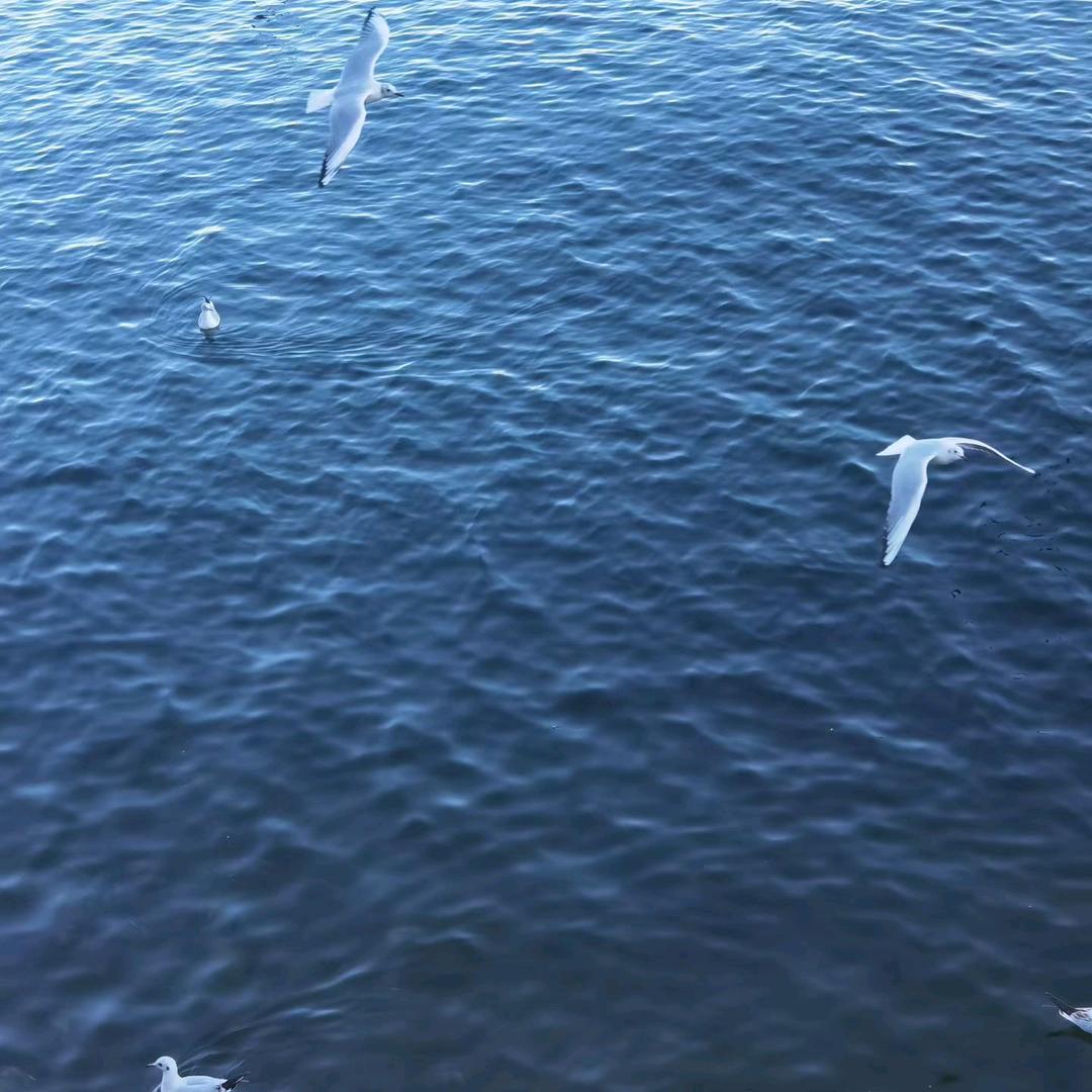 এ̶̶̶̶̶.̶̶̶猜̶不̶透̶