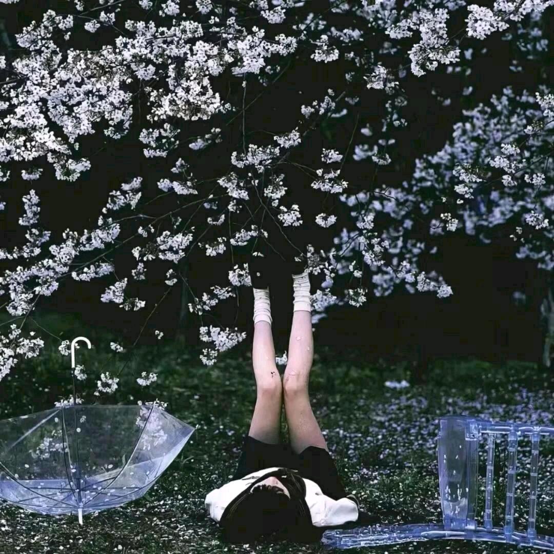 日出✨