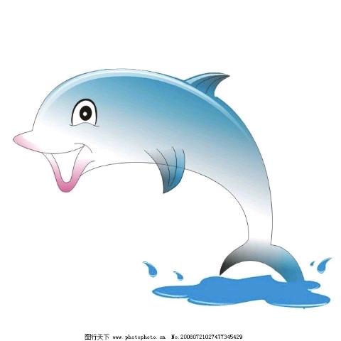 老鱼
