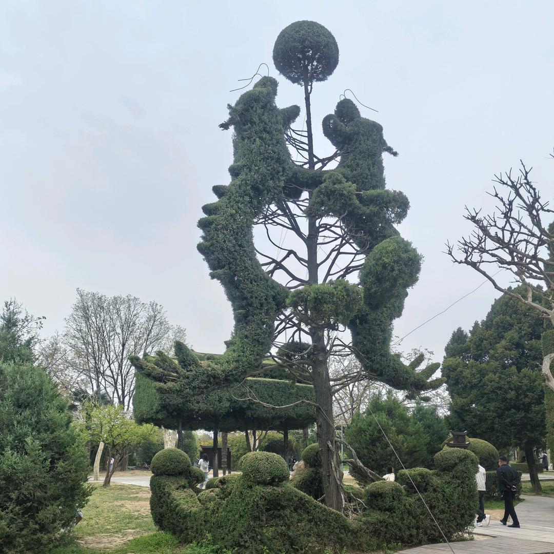 এ ℘゜余ོ生এ随ོ心ꦿ℘゜এ