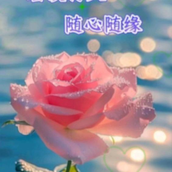 🥀᭄俩孩的单亲妈妈꧔ꦿᩚ