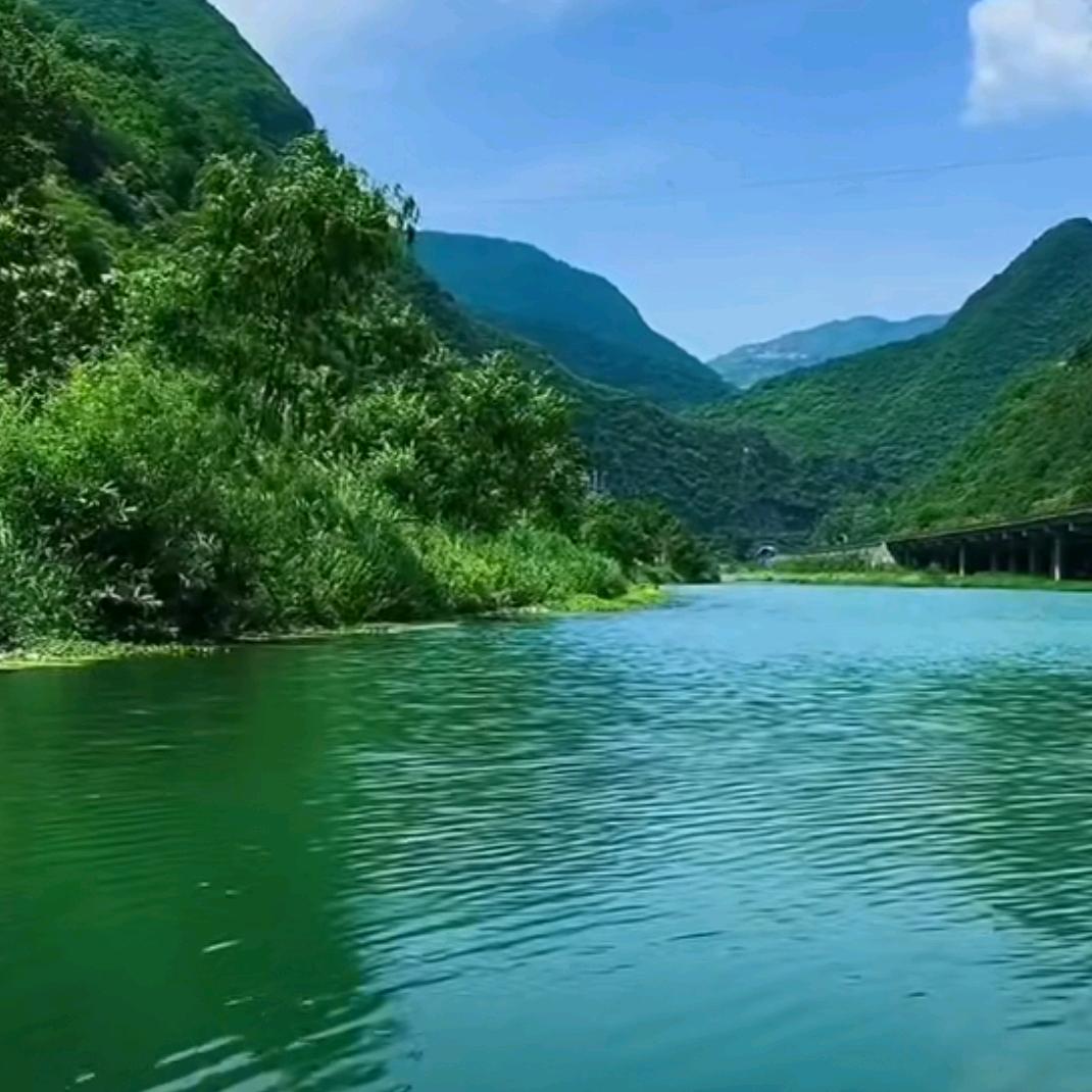 姚晓锋