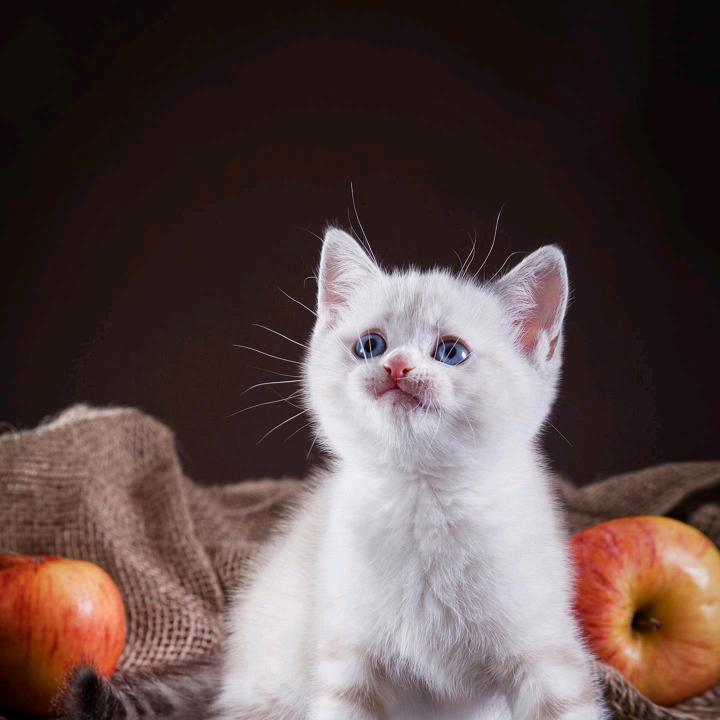 幸福🐉快乐7049